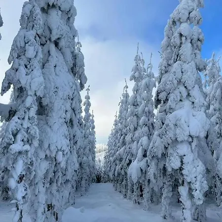 Apartmán Haus Annemiek Met Balkon *