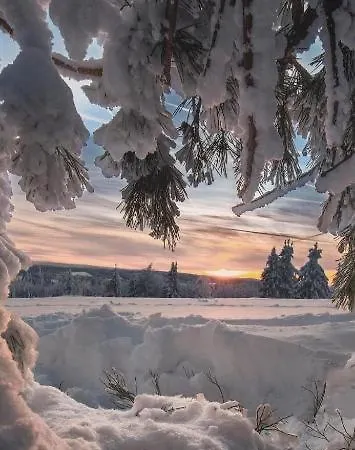 Haus Annemiek Met Balkon