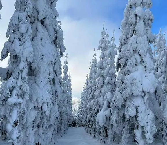 Apartman Haus Annemiek Met Balkon *